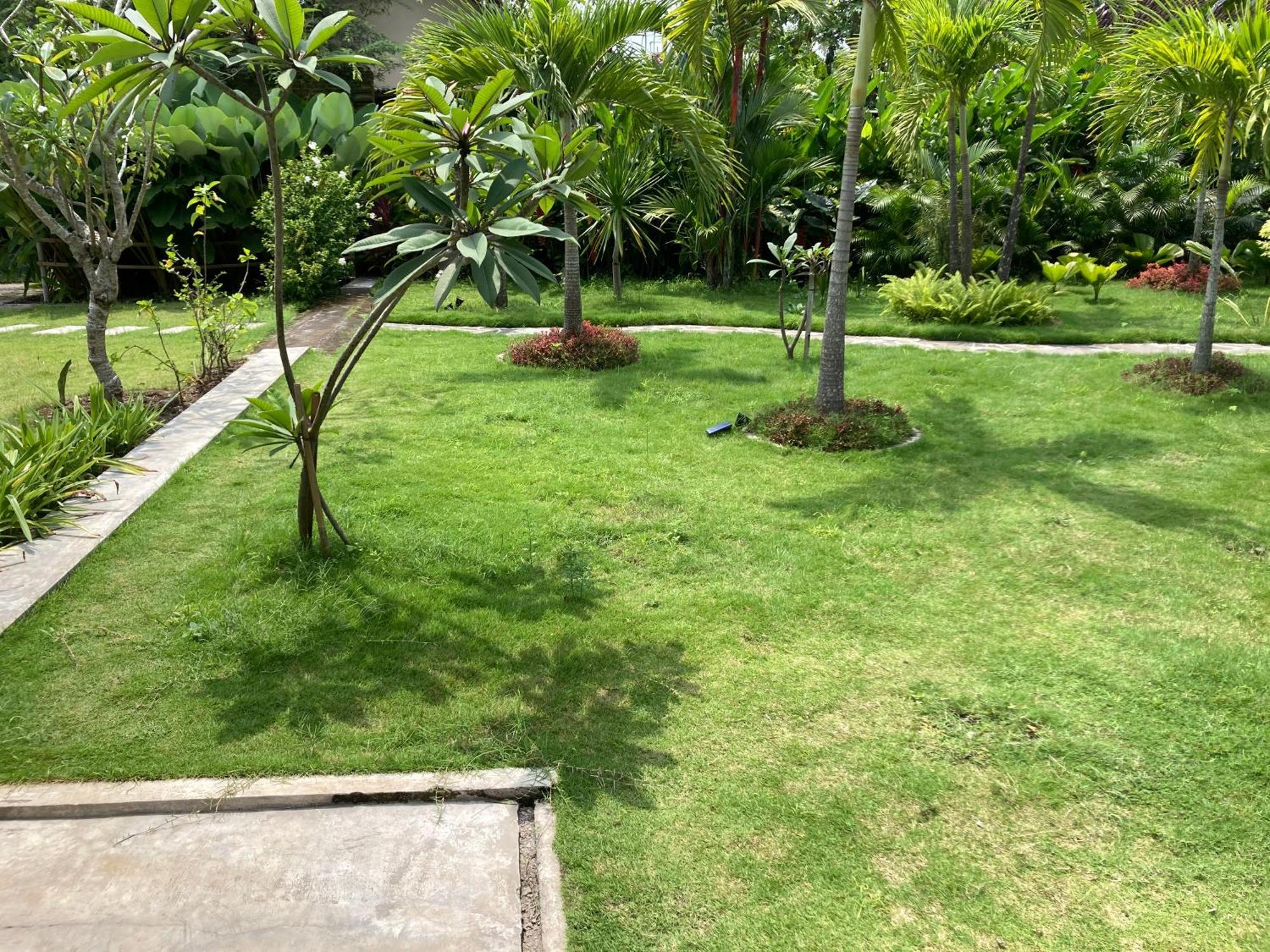 Ohmmstay - Rumah Pendopo Tanjungtirto Екстер'єр фото