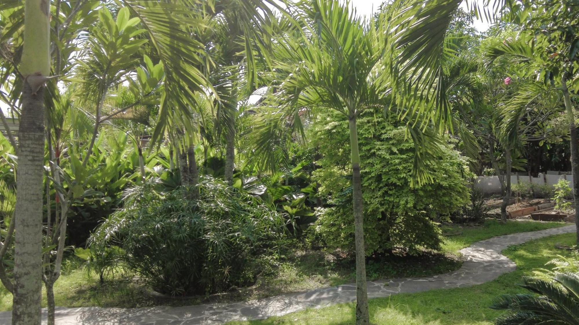 Ohmmstay - Rumah Pendopo Tanjungtirto Екстер'єр фото